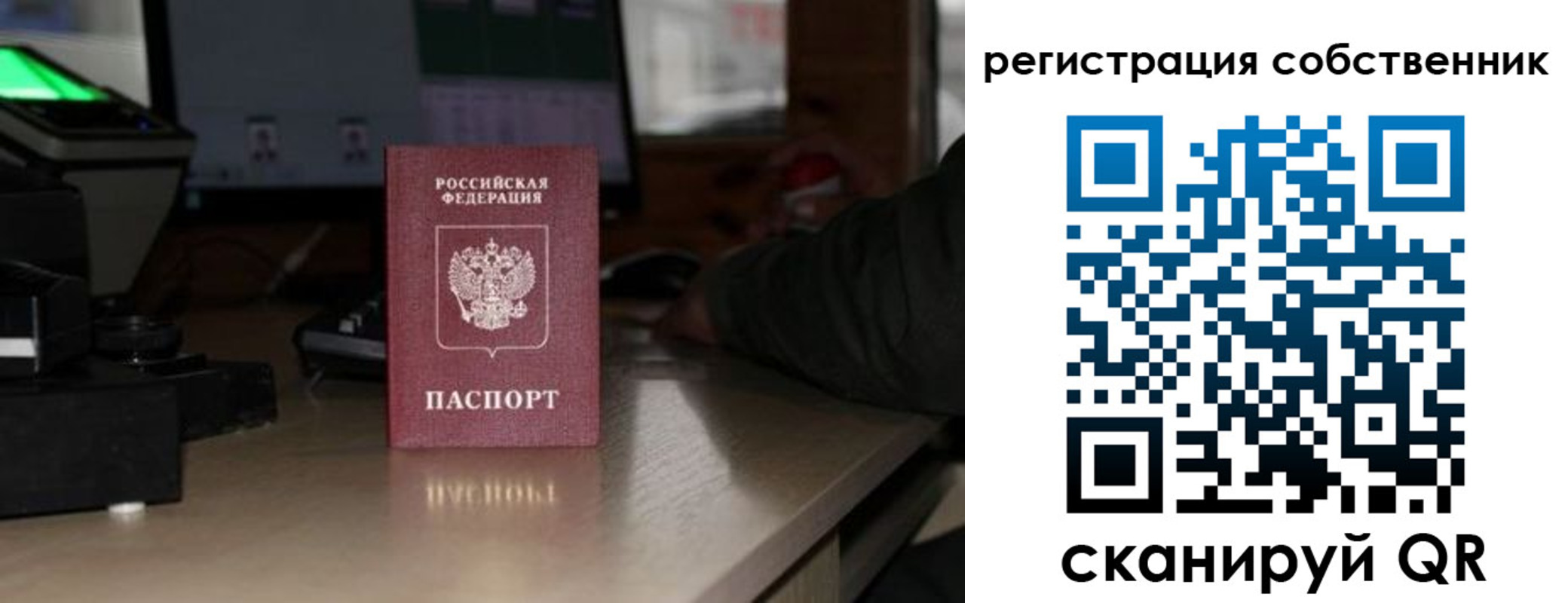 прописка поиск в Почепе